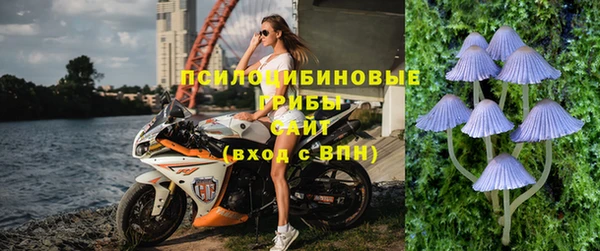 mdpv Кинешма