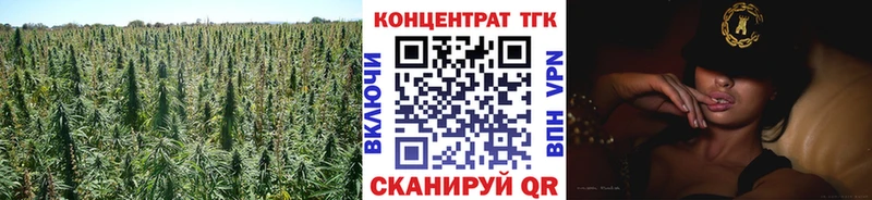 Купить  Вятские Поляны  ТГК концентрат 