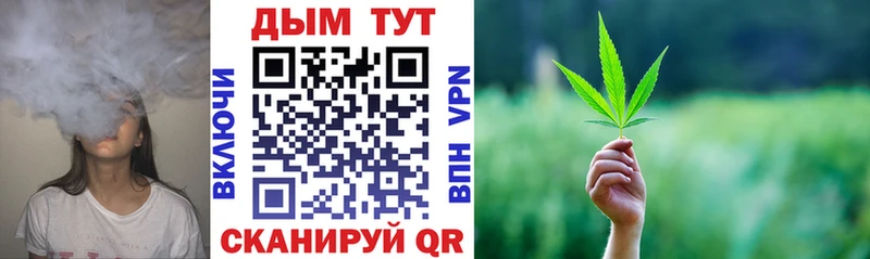 Купить где  Вятские Поляны  Бошки марихуана SATIVA & INDICA 